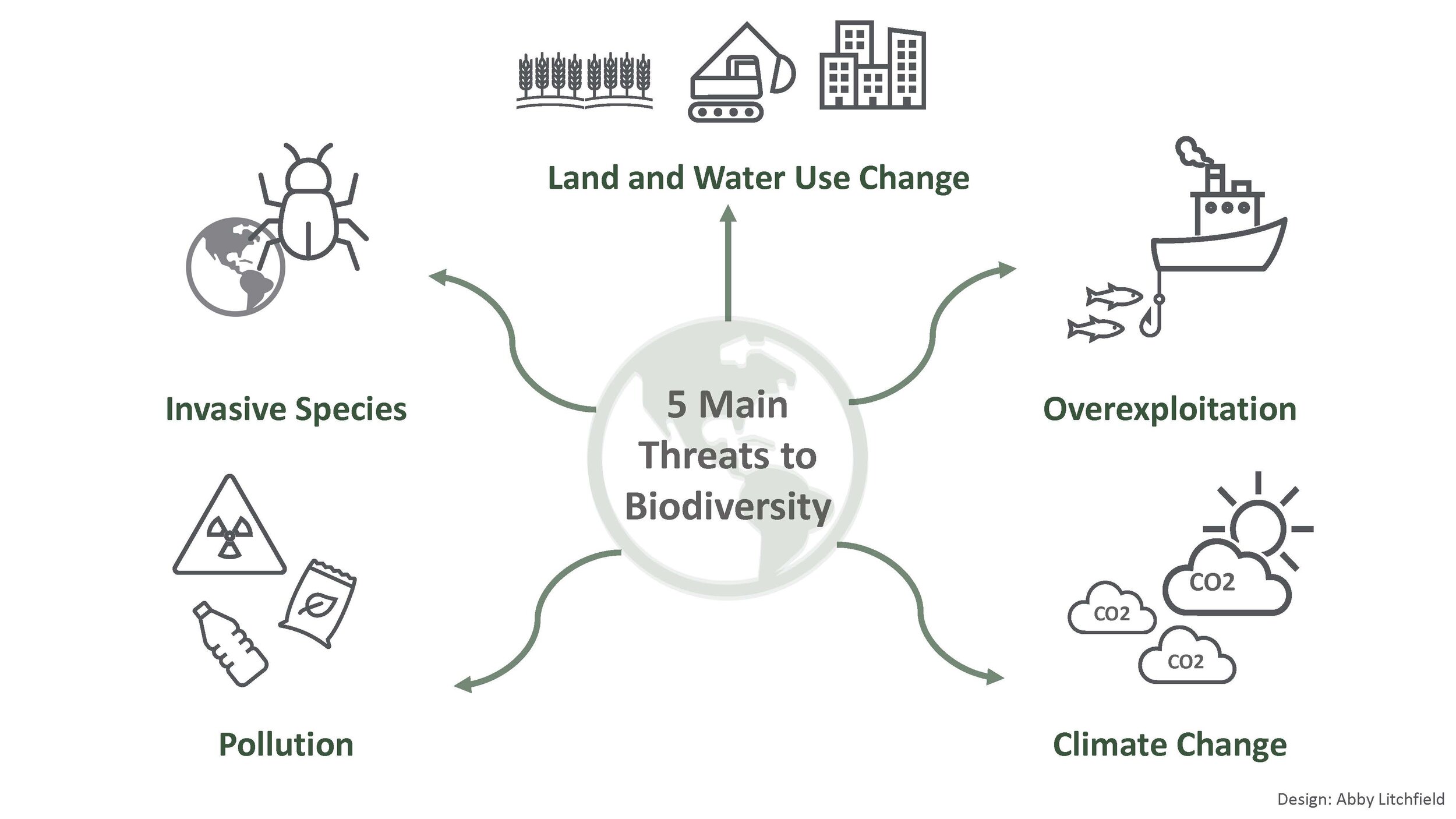 II. The Current State of Biodiversity