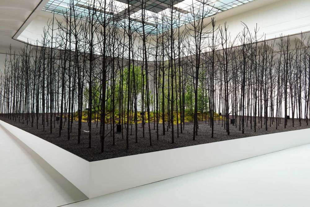 The “Invocation for Hope” presents 70 trees from a fire site in Austria 
