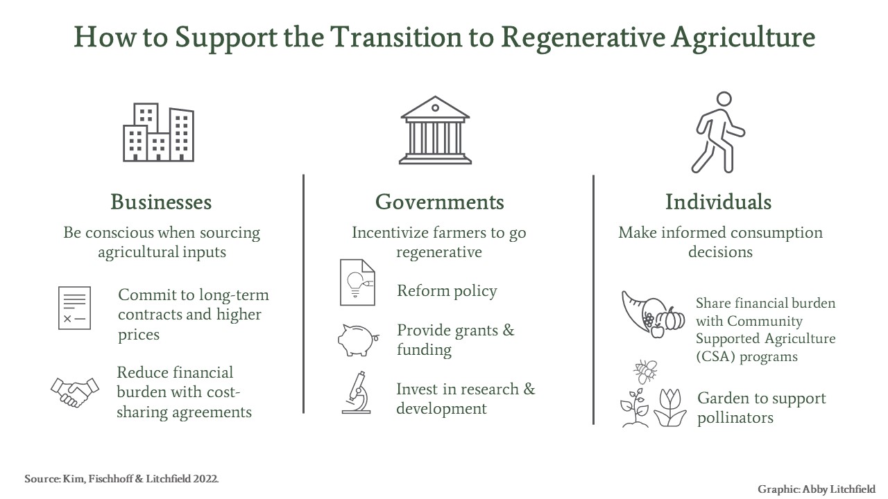 How to support the transition to regenerative agriculture