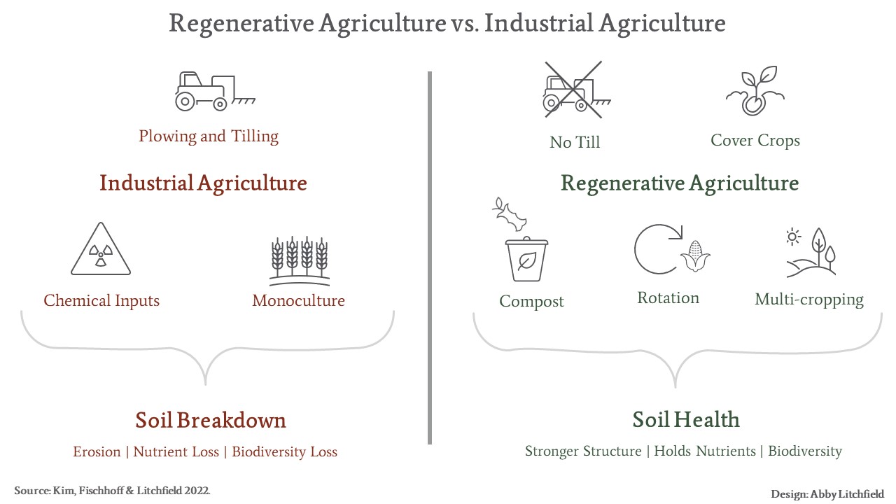 Graphic showing the difference between Regenerative and Industrial agriculture