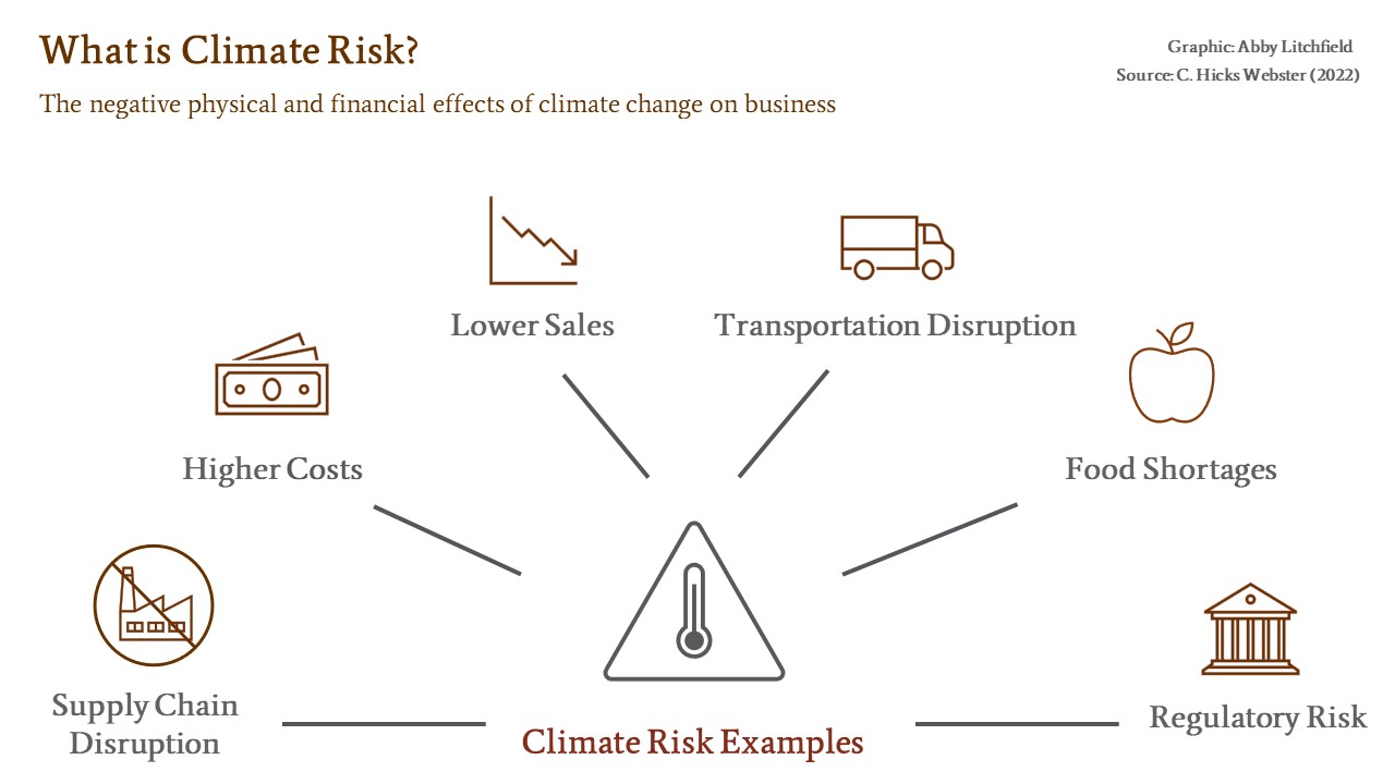 what is climate risk? supply chain degradation, higher costs, lower sales, transportation disruption, food shortages, regulatory risk