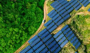 Solar panels in forest