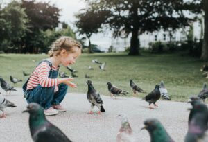Little girl in park with birds