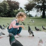 Little girl playing with pigeons