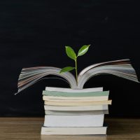 A plant sprouting out of a stack of books