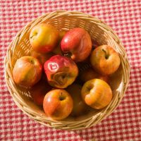 apples in a basket on a picnic blanket