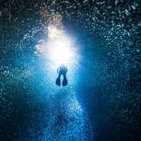Diver in water under blue light
